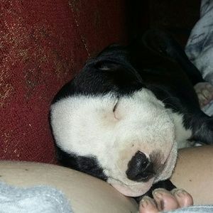 Meet your Posher, Jamie